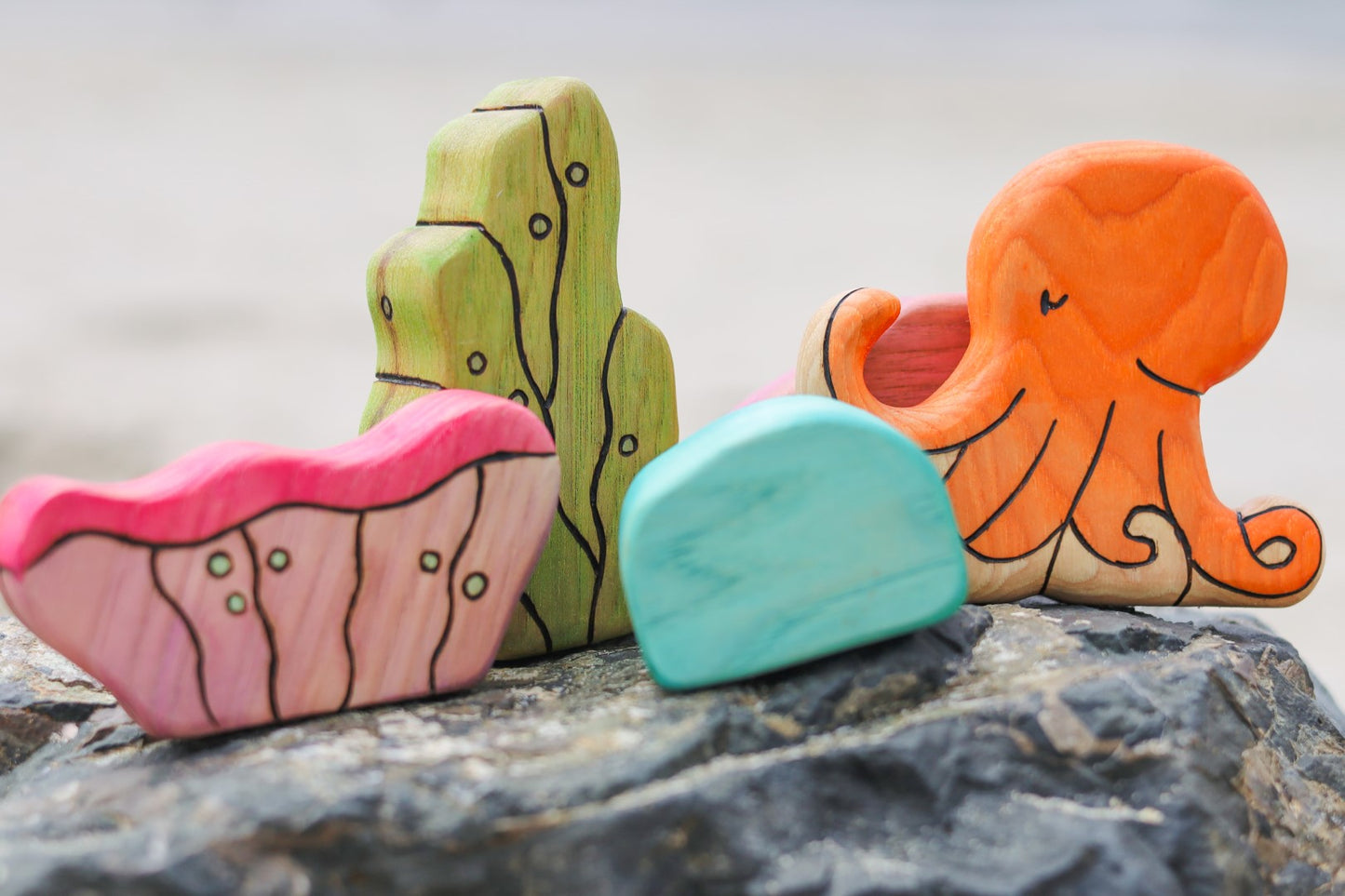 Wooden Seaweed Coral Playscape