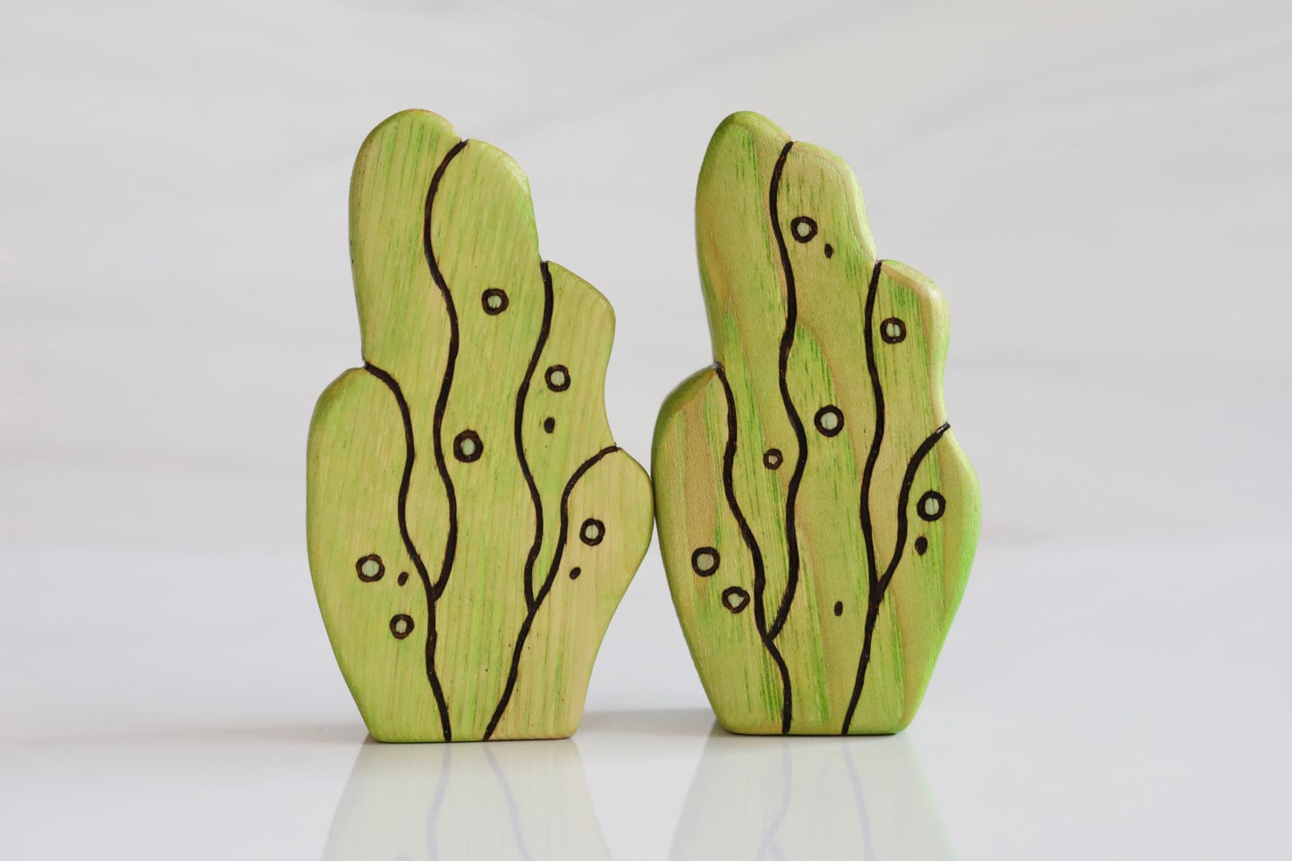 Wooden Seaweed Coral Playscape