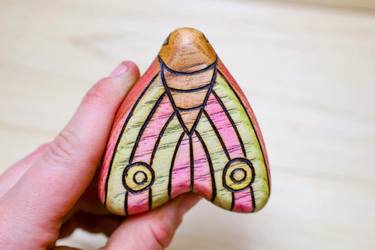 Wooden Colorful Moth Toy