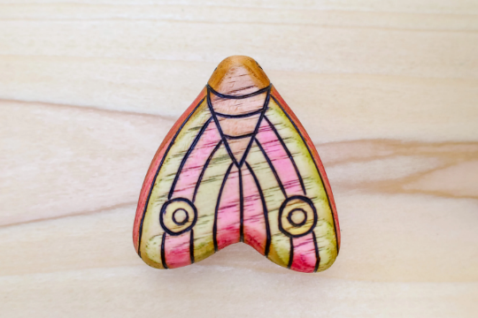 Wooden Colorful Moth Toy